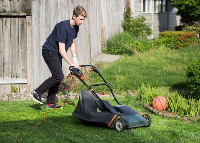 Teen mowing the lawn with an electric lawnmower